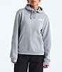 The North Face Evolution Box NSE Fill Light Graphic Print Pullover Hoodie - Image 2