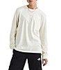 The North Face Evolution Box NSE Fill Light Long Sleeve Graphic Tee, Color:White Dune - Image 1