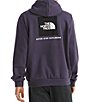 The North Face Evolution Box NSE Hoodie - Image 1