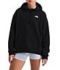 The North Face Evolution EMB Embroidered Logo Oversize Hoodie Pullover - Image 1