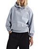 The North Face Evolution EMB Embroidered Logo Oversize Hoodie Pullover - Image 4
