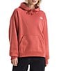 The North Face Evolution EMB Embroidered Logo Oversize Hoodie Pullover - Image 1