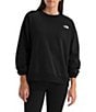 The North Face Evolution Embroidered Logo Crew Neck Long Sleeve Pullover - Image 4