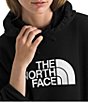The North Face Evolution Half Dome Hoodie Long Sleeve Pullover - Image 3