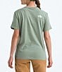 The North Face Evolution Half Dome Oversize Graphic Crew Neck Short Sleeves Tee, Color:Slate Moss/TNF White - Image 2