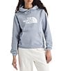 The North Face Evolution Half Dome Pullover Hoodie, Color:Blue Flax - Image 1