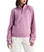 The North Face Evolution Half Zip Mock Stand Long Sleeve Pullover - Image 4