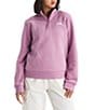 The North Face Evolution Half Zip Mock Stand Long Sleeve Pullover - Image 5