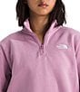 The North Face Evolution Half Zip Mock Stand Long Sleeve Pullover - Image 6