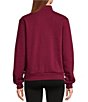 The North Face Evolution Half Zip Mock Stand Long Sleeve Pullover - Image 5
