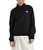 The North Face Evolution Half Zip Mock Stand Long Sleeve Pullover - Image 4