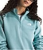 The North Face Evolution Half Zip Mock Stand Long Sleeve Pullover, Color:Blue Eclipse - Image 3