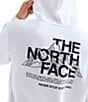 The North Face Evolution Mountain Sketch Regular Hoodie - Image 3