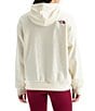 The North Face Evolution Plateau Oversize Pullover Hoodie - Image 4