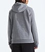 The North Face Evolution Proud Graphic Hoodie Pullover - Image 5