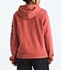 The North Face Evolution Proud Graphic Pullover Hoodie, Color:Mars Dust - Image 2