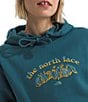 The North Face Evolution Retro-Growth Graphic Print Pullover Hoodie - Image 4