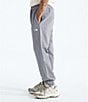 The North Face Evolution Simple Dome Jogger Pants - Image 3