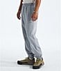 The North Face Evolution Simple Dome Pants - Image 3