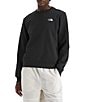 The North Face Evolution Simple Embroidered Logo Crew Neck Long Sleeve Pullover - Image 4