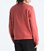 The North Face Evolution Simple Embroidered Logo Crew Neck Long Sleeve Pullover - Image 5