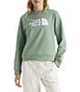 The North Face Evolution Sketch Logo Half Dome Crew Neck Pullover - Image 1