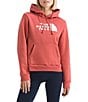 The North Face Evolution Sketch Logo Half Dome Hoodie Pullover - Image 1