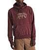 The North Face Evolution TNF™ Bear Graphic Hoodie, Color:Sumac - Image 1
