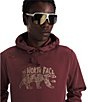 The North Face Evolution TNF™ Bear Graphic Hoodie, Color:Sumac - Image 3