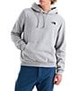 The North Face Evolution TNF NSE Regular Hoodie - Image 2