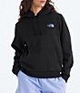 The North Face Explore Pin Long Sleeve Pullover Hoodie - Image 2