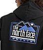The North Face Explore Pin Long Sleeve Pullover Hoodie - Image 3