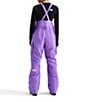 The North Face Freedom Insulated Bib Overall - Image 2