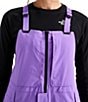 The North Face Freedom Insulated Bib Overall - Image 5