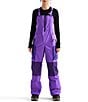 The North Face Freedom Straight Leg Bib Overalls - Image 1