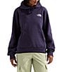 The North Face Glacier Drift Regular Pullover Hoodie - Image 1