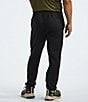 Color:TNF Black - Image 2 - Horizon Performance Fleece Jogger Pants