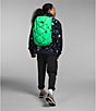 Color:Chlorophyll Green/TNF Black - Image 5 - Jester Backpack