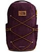 The North Face Jester Pro FlexVent Backpack - Image 6
