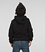 Color:TNF Black - Image 2 - Little Boys 2T-7 Long Sleeve Glacier Hoodie Jacket