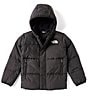 Color:TNF Black - Image 1 - Little Boys 2T-7 Long-Sleeve North Down Solid Hooded Jacket