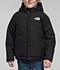 Color:TNF Black - Image 1 - Little Boys 2T-7 Long-Sleeve Reversible Insulated Perrito Hooded Jacket