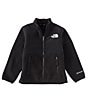 Color:TNF Black - Image 1 - Little Boys 2T-7T Denali Long-Sleeve Fleece Jacket