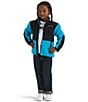 The North Face Little Kids Denali Jacket - Image 3