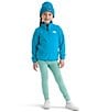 The North Face Little Kids Glacier 1/4 Zip Pullover - Image 3