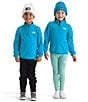The North Face Little Kids Glacier 1/4 Zip Pullover - Image 4