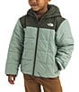 The North Face Little Kids Reversible Shasta Full Zip Hooded Jacket, Color:Slate Moss/New Taupe Green - Image 1