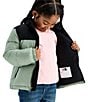 The North Face Little Kids 1996 Retro Nuptse Jacket - Image 5