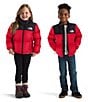 The North Face Little Kids 1996 Retro Nuptse Iconic Design Ski Jacket, Color:TNF Red - Image 4