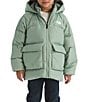 The North Face Little Kids North Down Fleece-Lined Ski Puffed Parka - Image 1